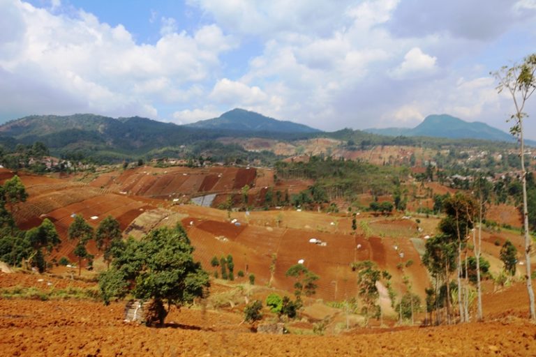 Kopi untuk Lahan Kritis Bandung Utara