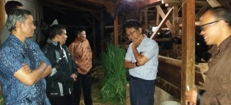 Sapi Cisanggarung