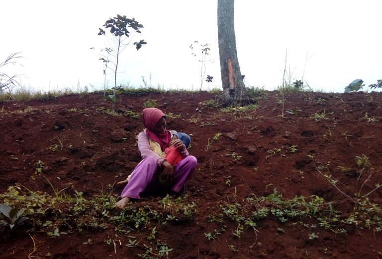 Nenek Mengasuh Cucu di Ladang