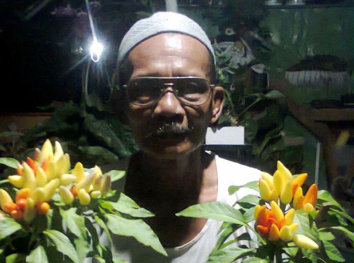Kawin Tumpuk Cabe-Cabean