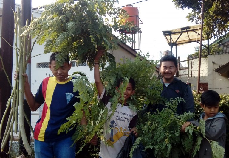 Smart Farming: Odesa Garap Pendidikan Tani Remaja