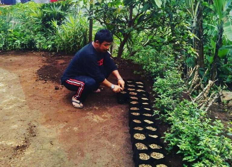 Tani Pekarangan: Meningkatkan Ekonomi, Mengurangi Konsumsi