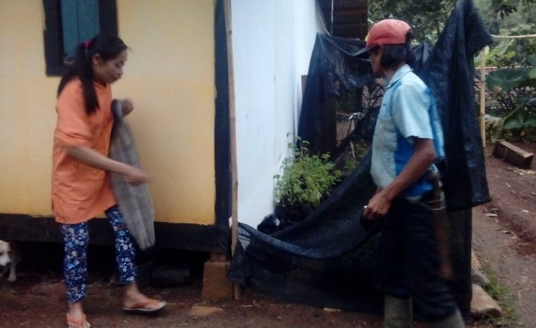 Keluarga Miskin di Cimenyan Bandung ini Ekonominya Membaik Setelah Tanam Kelor