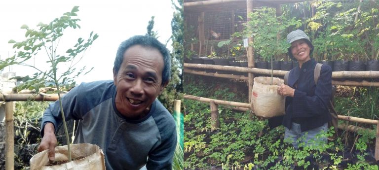 Pelukis Herry Dim Kampanyekan Kelor