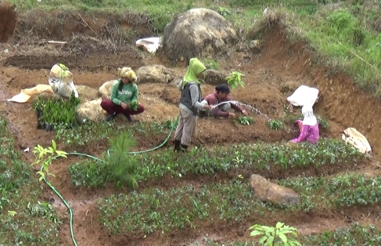 Strategi Pendampingan Keluarga Petani: dari Peasant Menuju Farmer