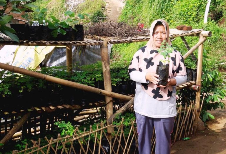Cara Konkret Meningkatkan Penghasilan Keluarga Tani