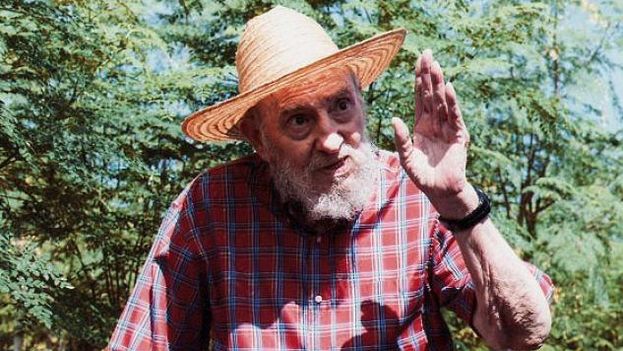 Warisan Kelor Fidel Castro Memperlihatkan Hasilnya