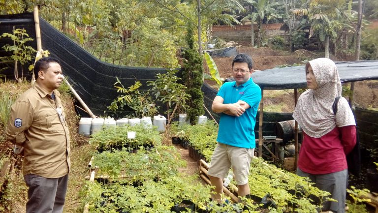 Inilah Penjelasan Mengapa Kelor Menyembuhkan Beragam Penyakit