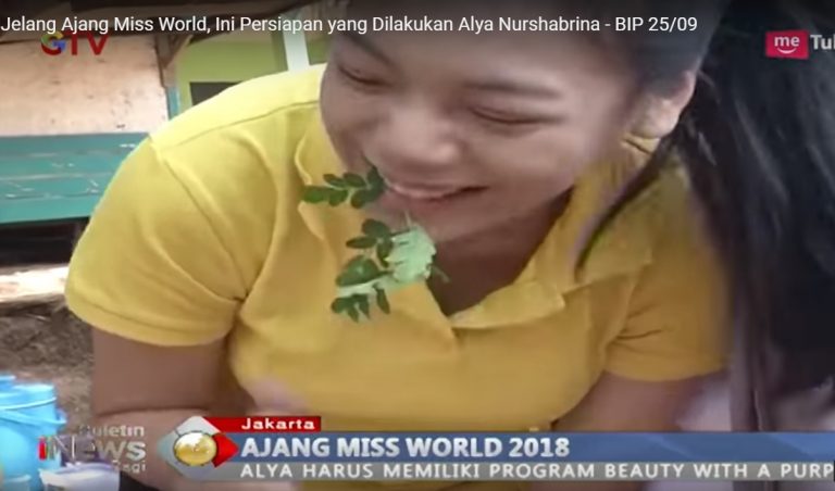 Memilih yang terbaik dari Daun Kelor