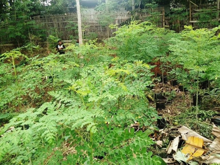 Hitungan Usaha Pertanian: Agar Kita Tidak Berjudi