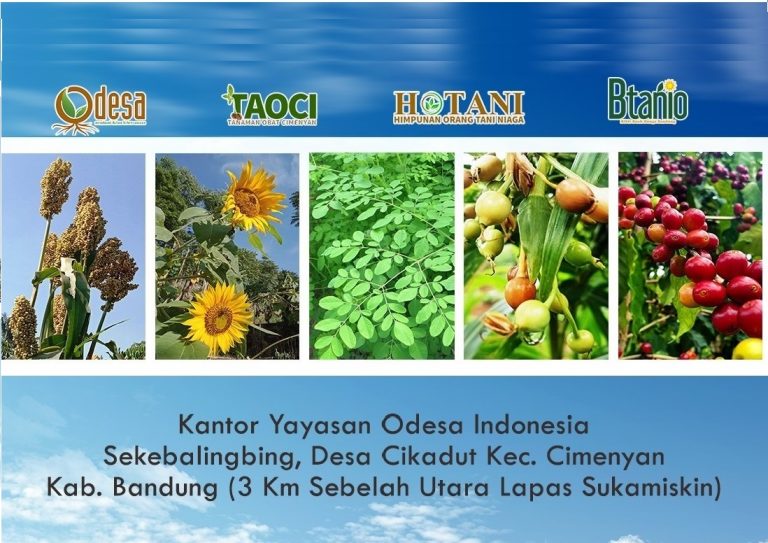 Sekolah Tani Odesa: Model Baru Meningkatkan Mutu Generasi