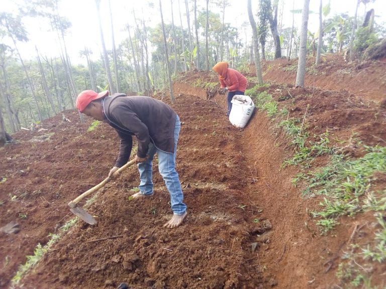 Fakta di balik Kemiskinan Petani dan Literasi sebagai Solusi