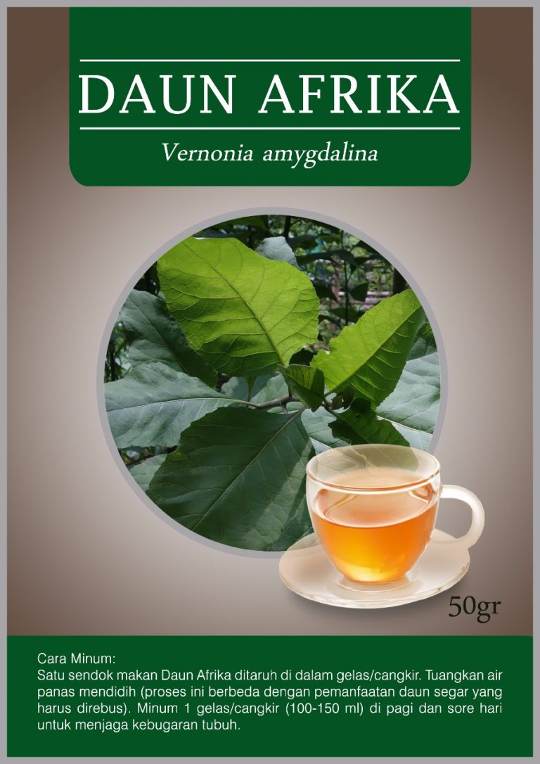 Jual Herbal Daun Afrika