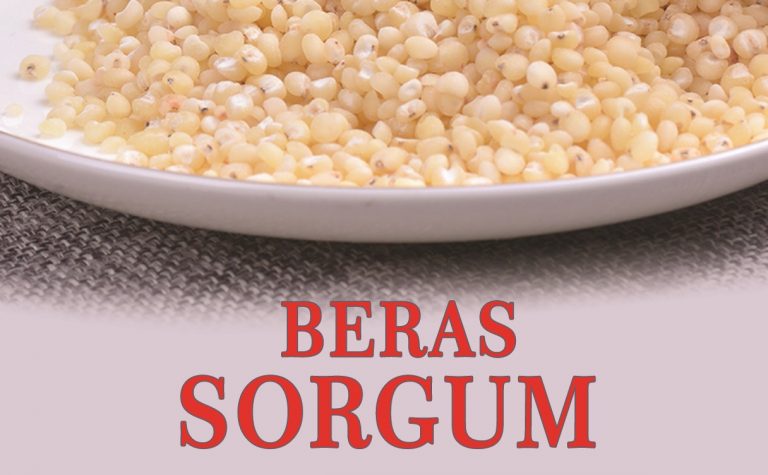 Jual Beras Sorgum Bermanfaat untuk Gizi dan Kesehatan