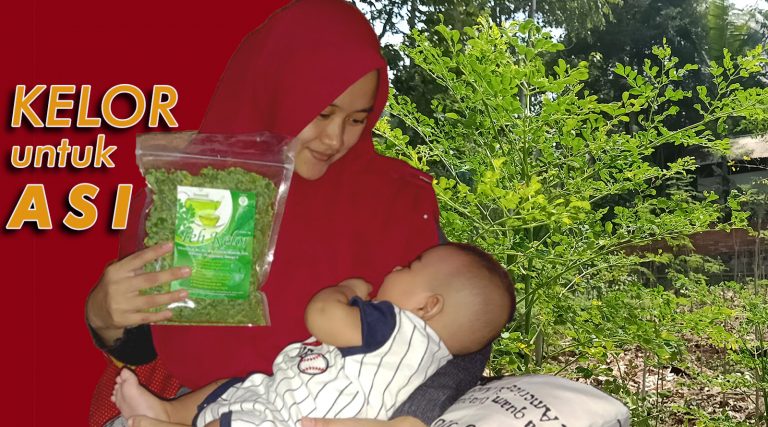 Manfaat Kelor untuk Ibu Hamil dan Menyusui