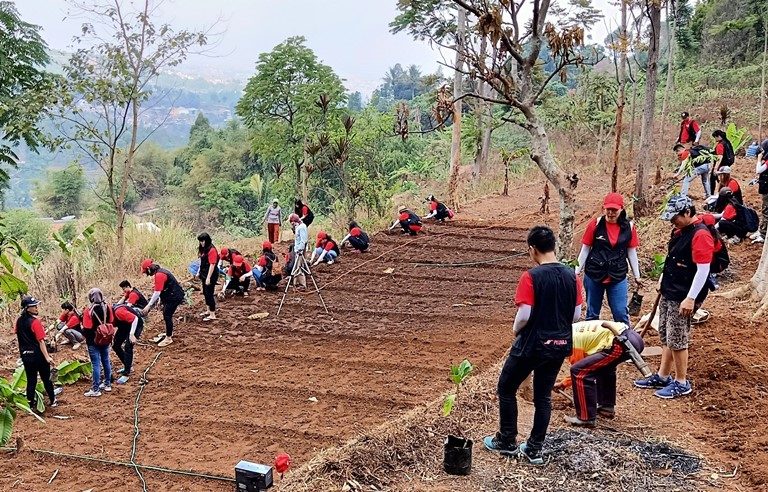 Ribuan Bibit Pohon Ditanami di Kawasan Bandung Utara