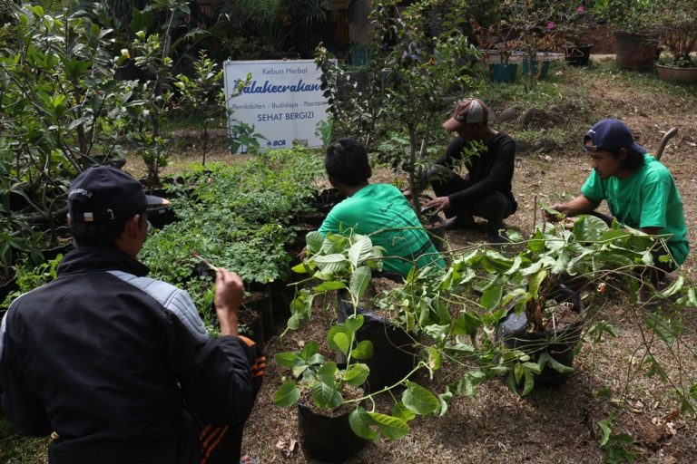 Berkebun Herbal di Rumah Makan Balakecrakan Punclut Bandung