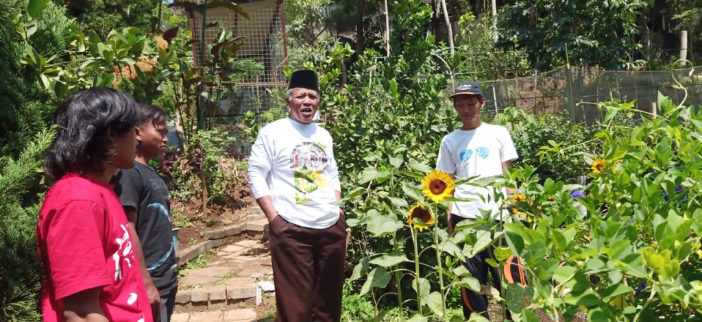 kh-muhaimin-di-kebun-taoci
