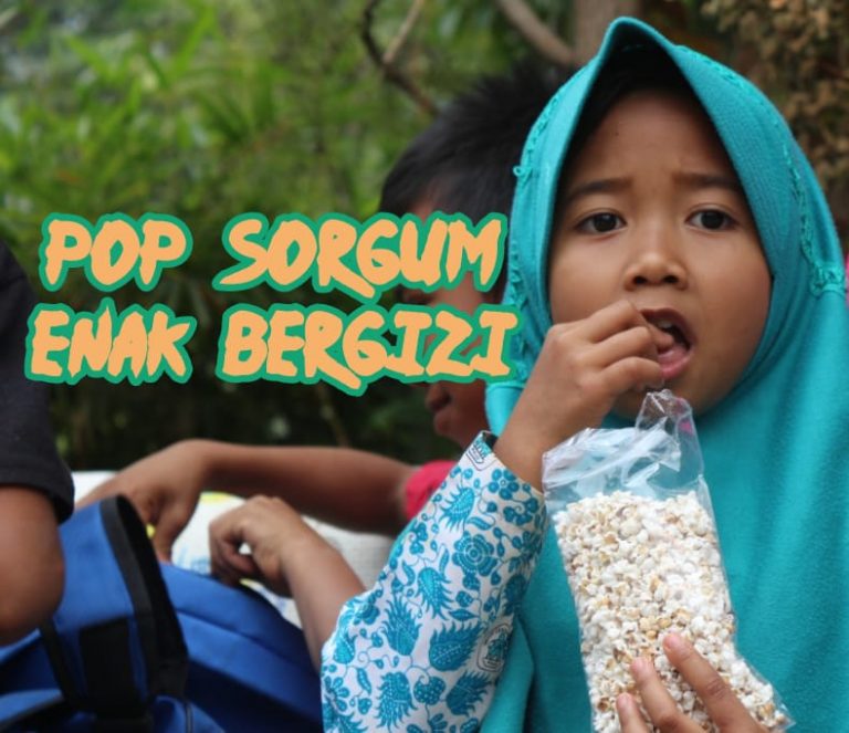Pop Sorgum Free Gluten: Bebas Problem Celiac, Obesitas, dan Diabetes