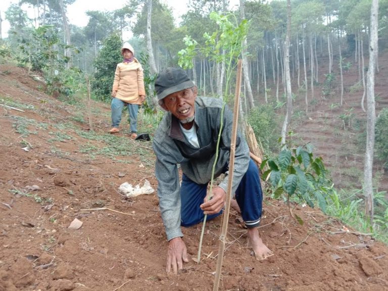 Solusi Pertanian di Lahan Kritis Kawasan Bandung Utara