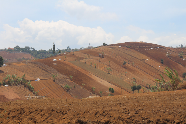 padang-pasir-cimenyan-2019