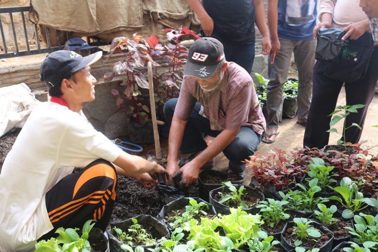 Pemuda Garut Belajar Pembibitan Herbal dan Tani Pekarangan