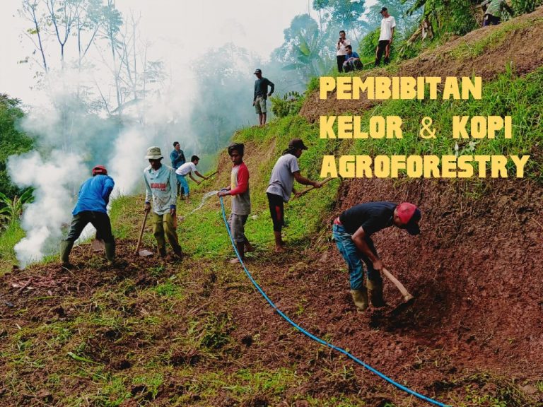 30 Petani Cikadut Bandung Bergiat Membibit Kelor dan Kopi