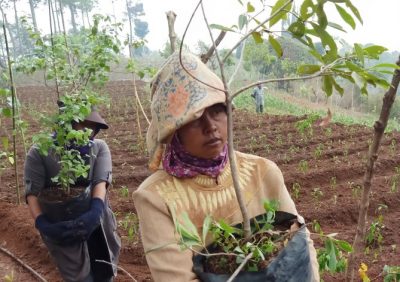 Herry Dim: Penghijauan Harus Melibatkan Petani