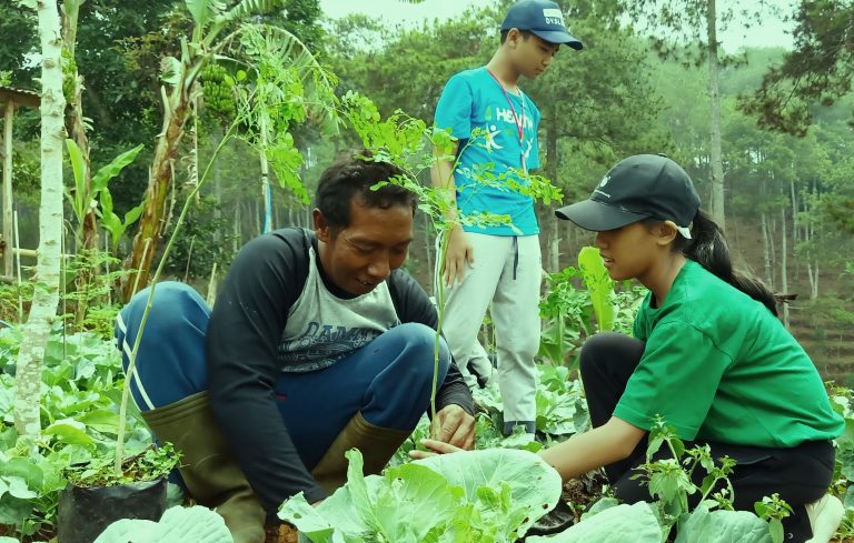 5 Manfaat Kegiatan Pertanian untuk Anak-Anak Kota