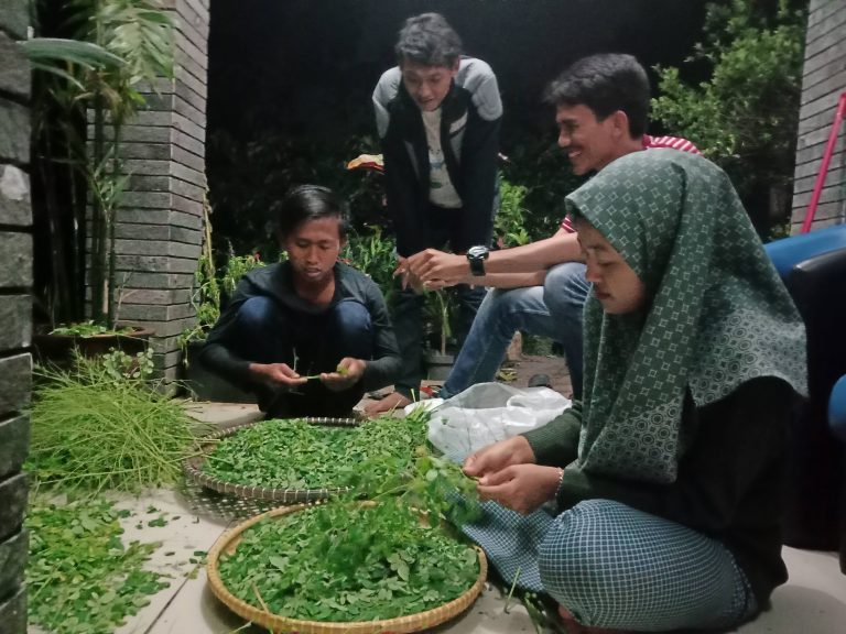 Visi Pertanian Yayasan Odesa Indonesia