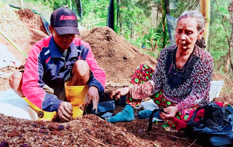 Pembibitan Sebagai Syarat Dasar Perbaikan Kawasan Bandung Utara