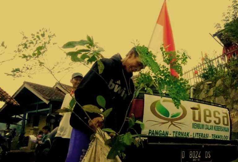 Dirasakan Manfaat Gizinya Kelor Makin Kesohor
