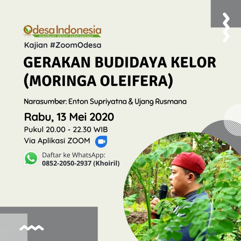Kajian Budidaya Kelor Moringa Oleifera