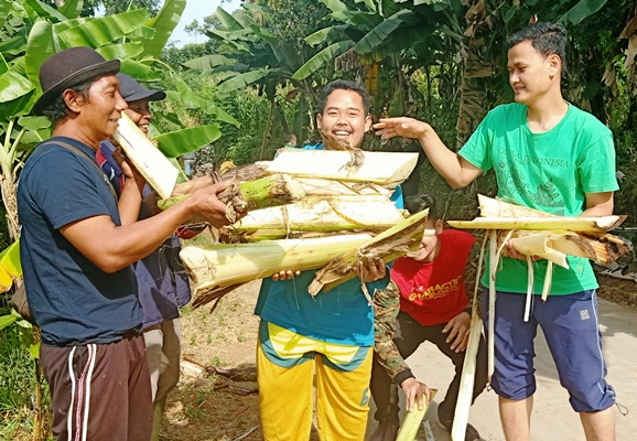 Manfaat Kedebog Pisang Untuk Tanaman di Musim Kemarau