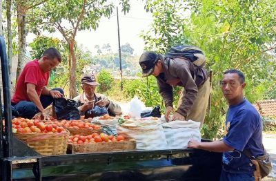 Harga Panen Anjlok, Petani Hotani Punya Solusi