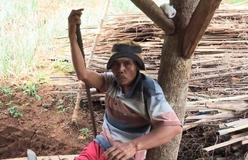 Tetap Menanam, Karena itulah Yang Bisa Dilakukan