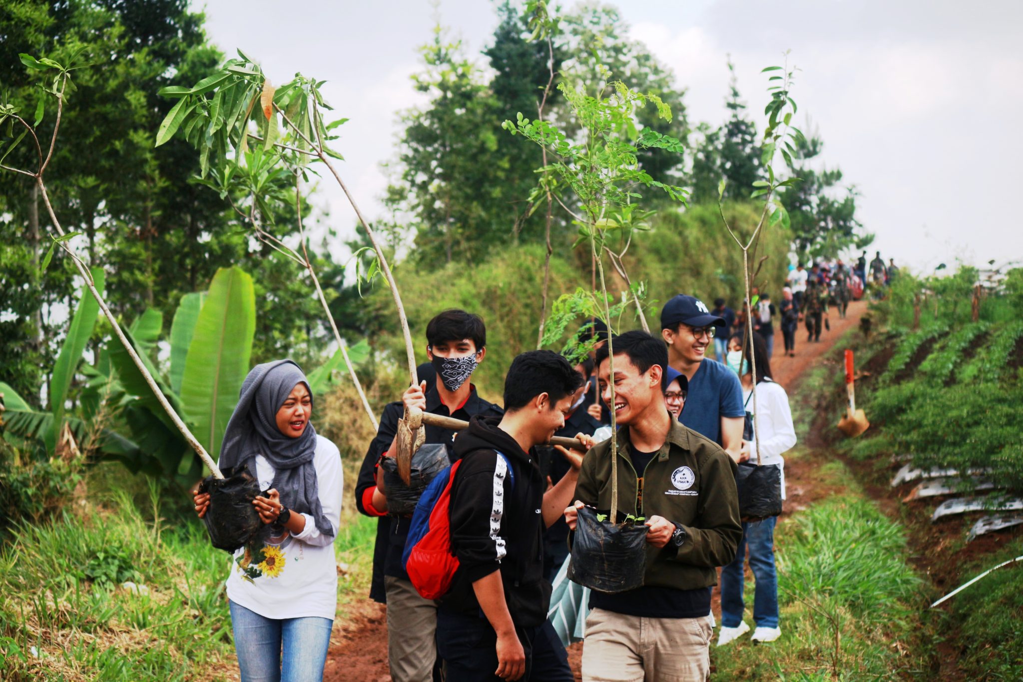 Pemuda, Saatnya Bagi Bibit untuk Petani