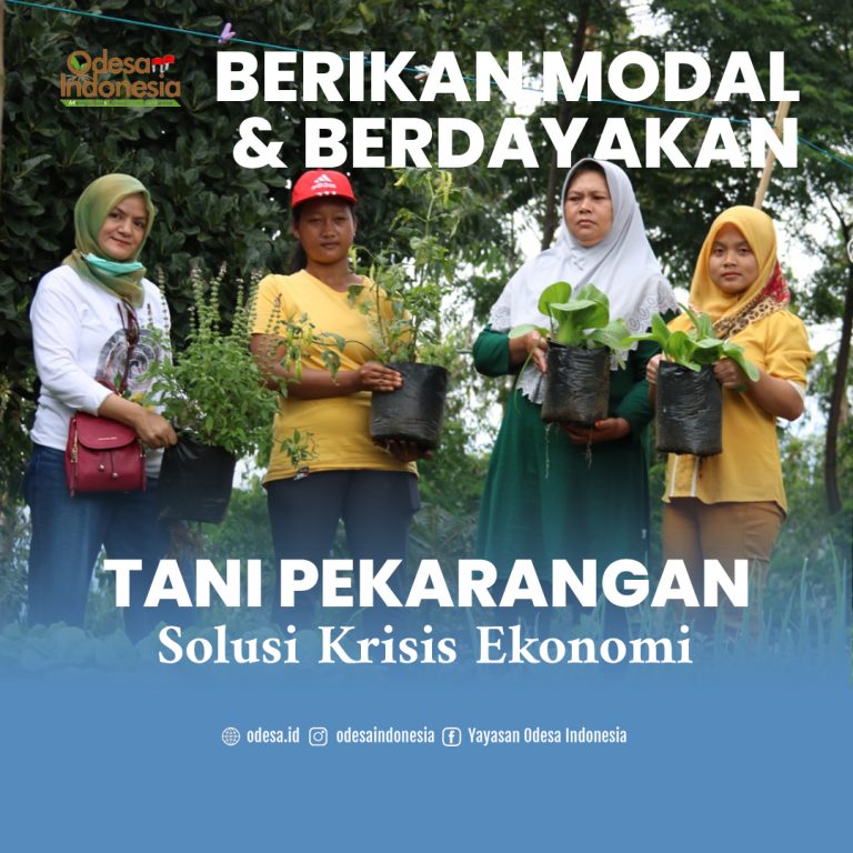 Donasi Usaha Tani Pekarangan Menjadi Solusi Ekonomi