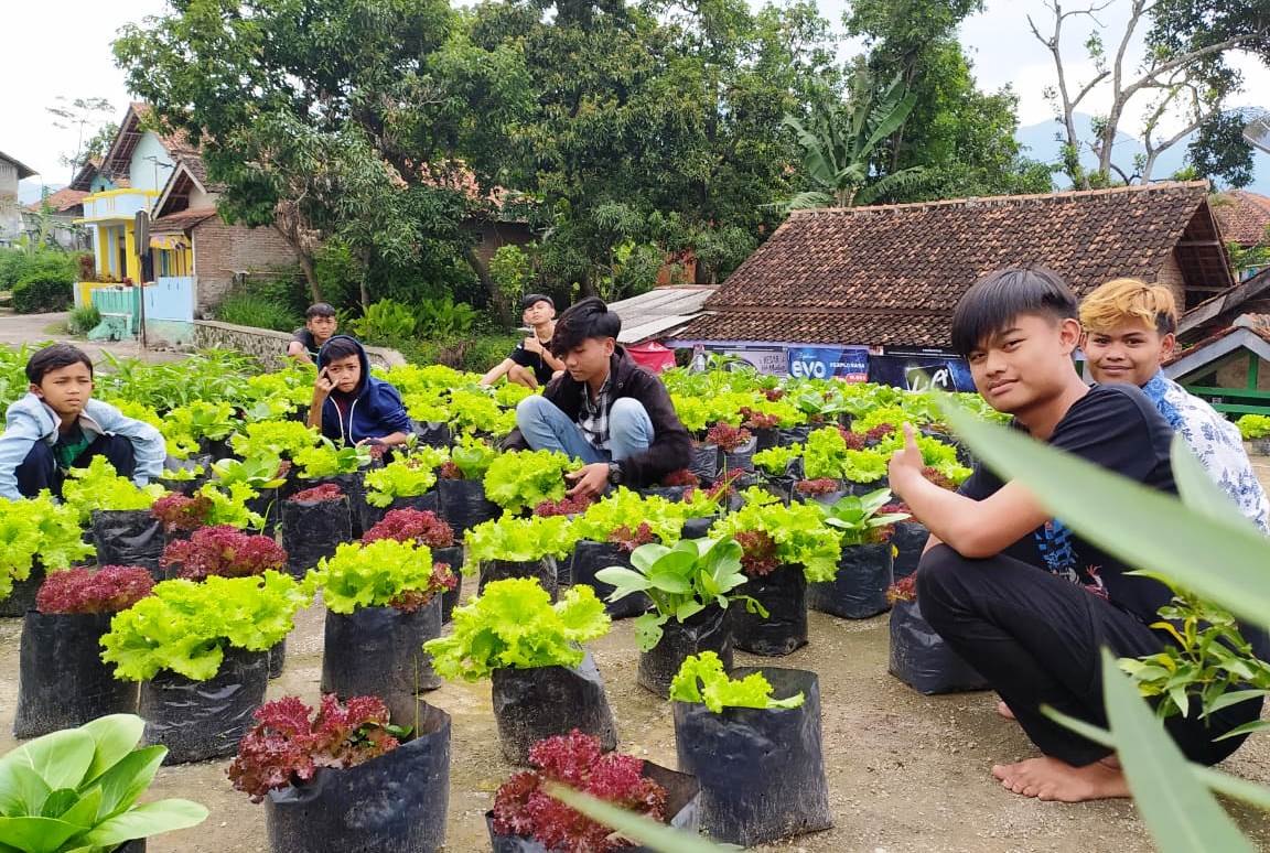 Pengangguran Merebak, Odesa Garut Gerakkan Pemuda Bertani