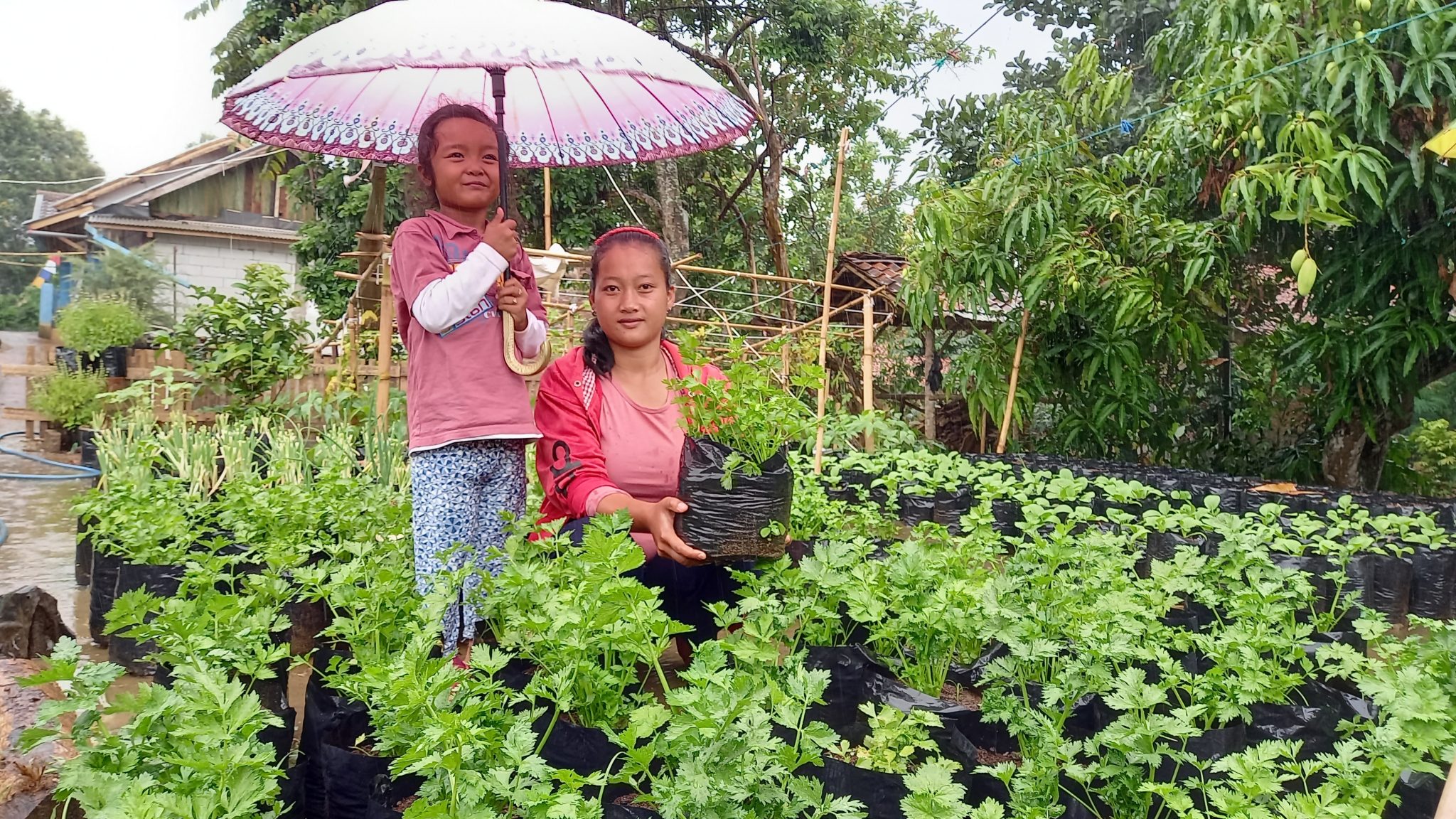 Ciri-Ciri Manusia Beradab Bisa Dilihat dari Kemauan Bertanam
