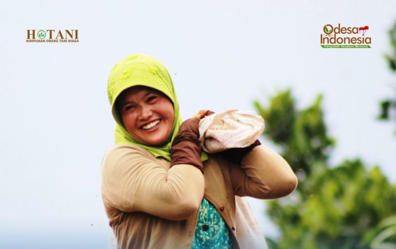 Erosi di Lahan Pertanian dan Kisah Kelor Mencegah Erosi
