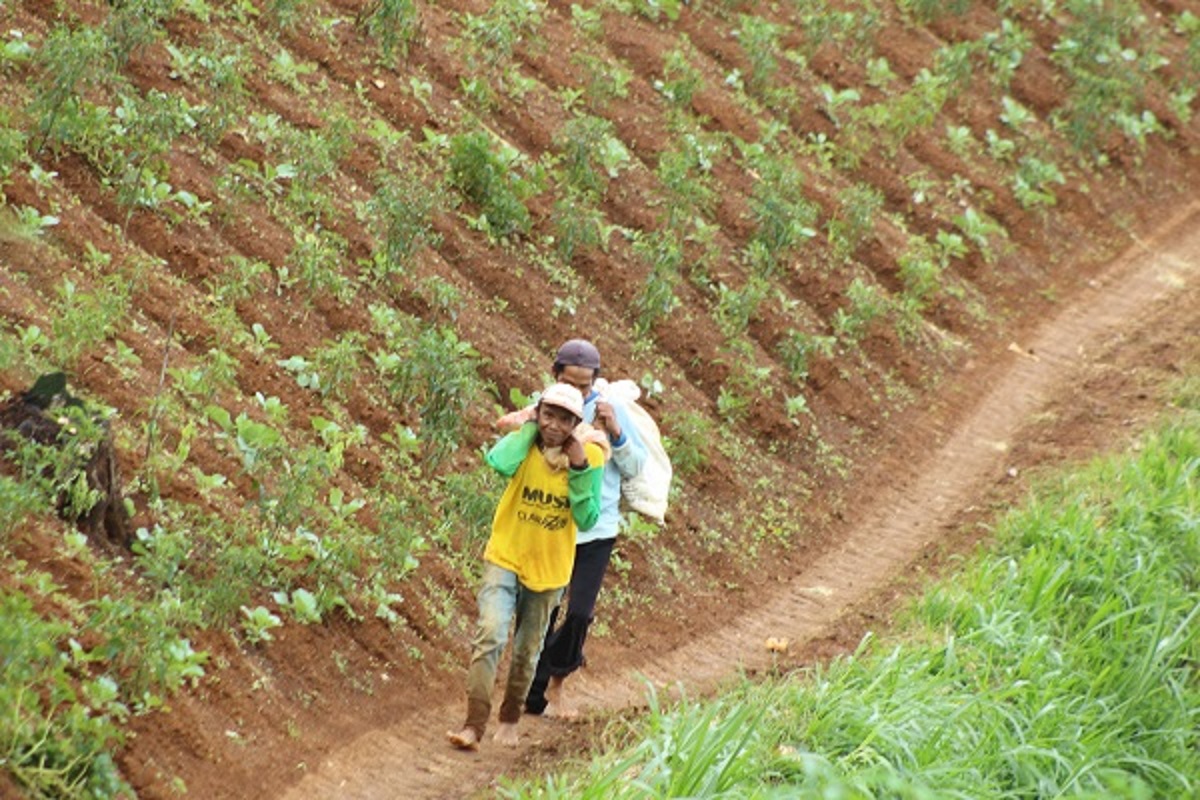 Pendidikan untuk Petani