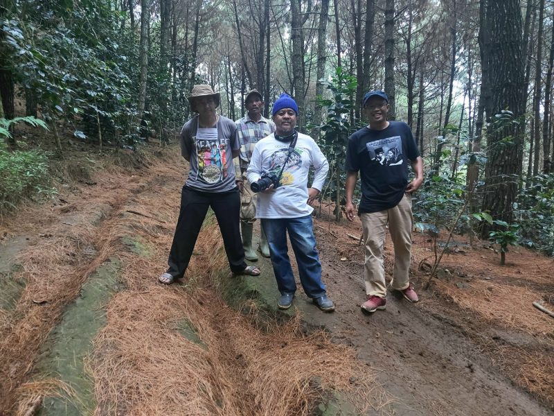 Memotret Hutan Arcamanik Cimenyan Bandung