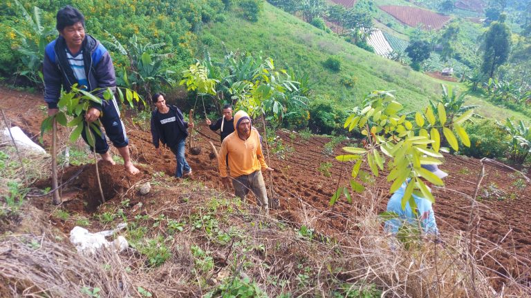 Petani Kampung Waas, Tanam Ratusan Pohon Penghijauan