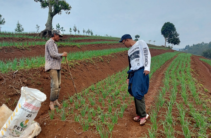 Potensi Pertanian di Indonesia
