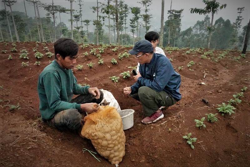 Tantangan Pertanian di Indonesia