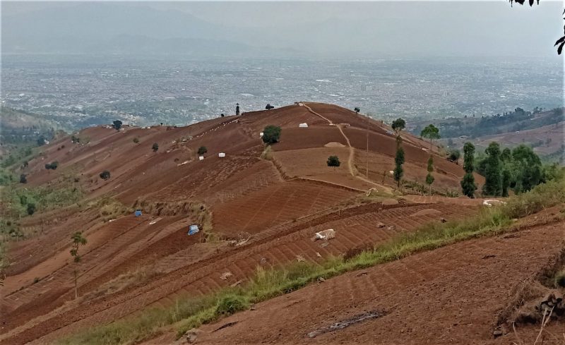 Perubahan iklim: Kerusakan lingkungan bandung utara foto odesa (2)