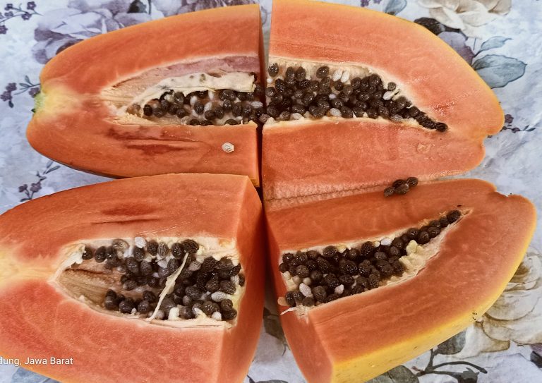 6 Manfaat Pepaya untuk Pembangunan Berkelanjutan