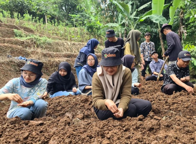 Belajar Pertanian Pangan di Kebun Botani Odesa Bandung