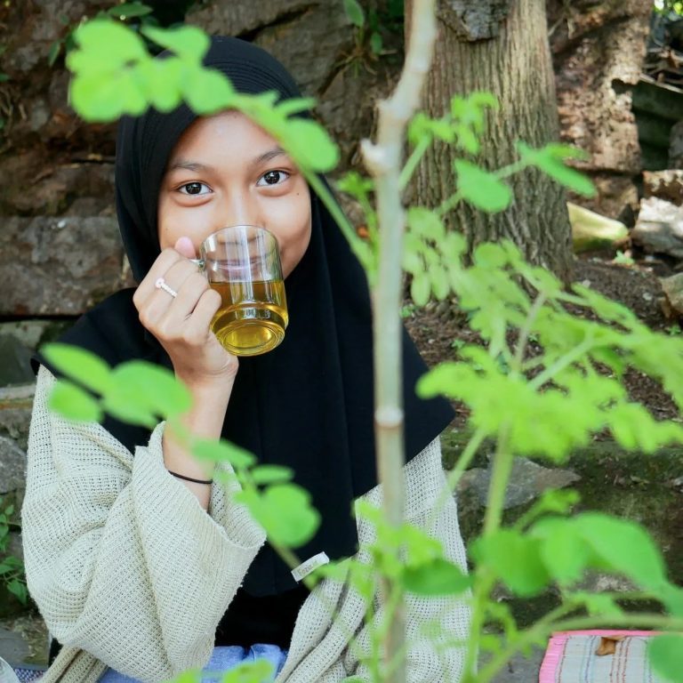 Manfaat Tanaman Kelor yang Sungguh Menakjubkan